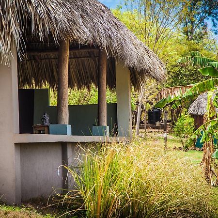 Coco Loco Eco-Resort Gemastepe Kültér fotó